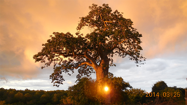 ag凯发k8国际海工最美施工摄影作品展(一) ag凯发k8国际海工最美施工摄影作品展(一)