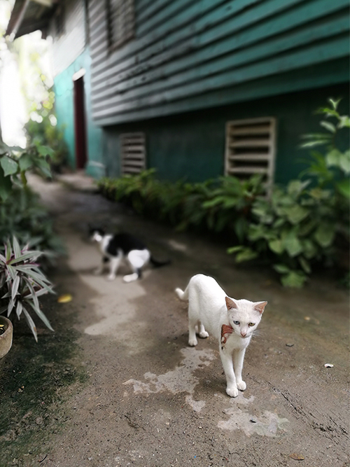 ag凯发k8国际海工最美施工摄影作品展(一) ag凯发k8国际海工最美施工摄影作品展(一)