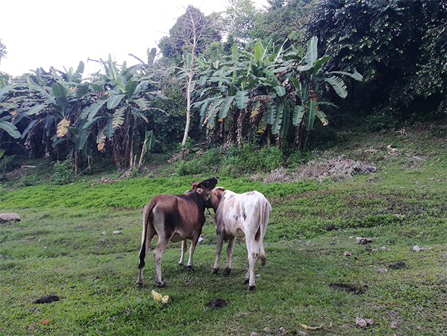 ag凯发k8国际海工最美施工摄影作品展(一) ag凯发k8国际海工最美施工摄影作品展(一)