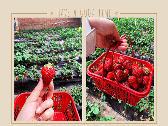 北国江南——杨柳青庄园之旅 北国江南——杨柳青庄园之旅