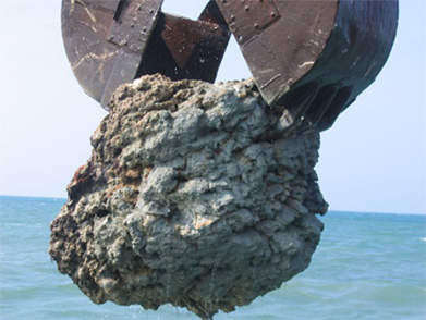 ӡSESԤڹĿ2005-2006--кͣ