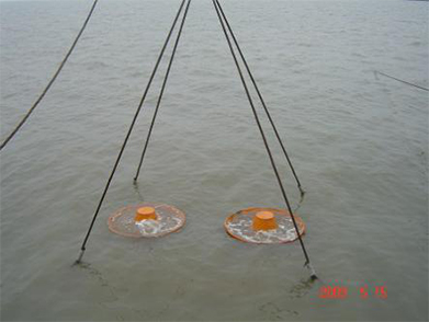 1-3ŵ׹ܵڹĿ2009--ʯͣ