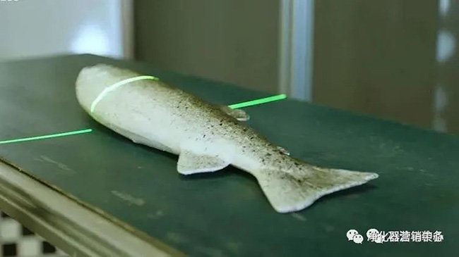 前沿技术 | “蛇形机器人”修复海底管道 前沿技术 | “蛇形机器人”修复海底管道