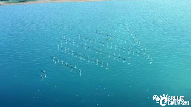 6700吨!世界单体最大、重量最重海上升压站项目开建 6700吨!世界单体最大、重量最重海上升压站项目开建