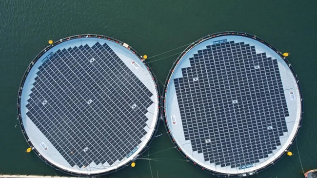 全球首个!国家电投山东分公司深远海风光同场漂浮式光伏项目发出第一度电 全球首个!国家电投山东分公司深远海风光同场漂浮式光伏项目发出第一度电