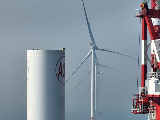 全国首个海上风电与海洋牧场融合发展研究试验项目首批机组并网发电 全国首个海上风电与海洋牧场融合发展研究试验项目首批机组并网发电