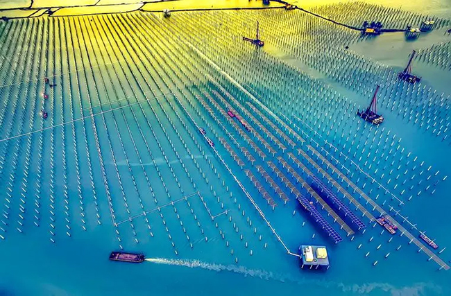 海上光伏产业,能盈利吗? 海上光伏产业,能盈利吗?