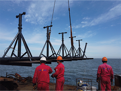 鹤ҵ԰۹Ŀ2020--̩ʵҵ