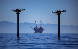 ׸Ϸ纣¼ܹ涨 121ʩУ