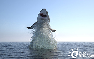 Ư��ʽ����Ϊ���Ϸ��ġ����ѿ�