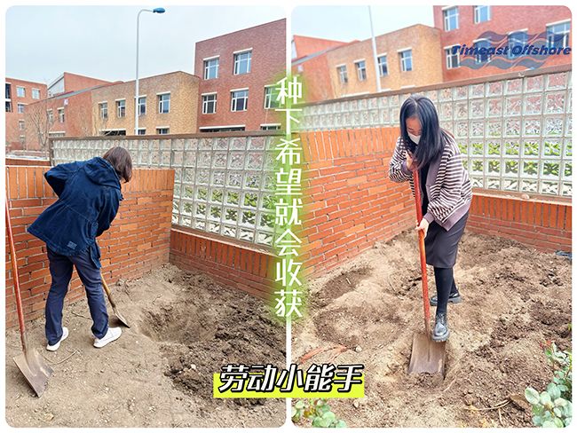 “植”此青绿 共沐春光 “植”此青绿 共沐春光