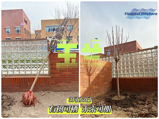 “植”此青绿 共沐春光 “植”此青绿 共沐春光