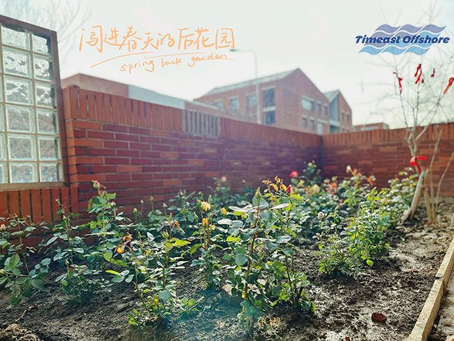 “植”此青绿 共沐春光 “植”此青绿 共沐春光