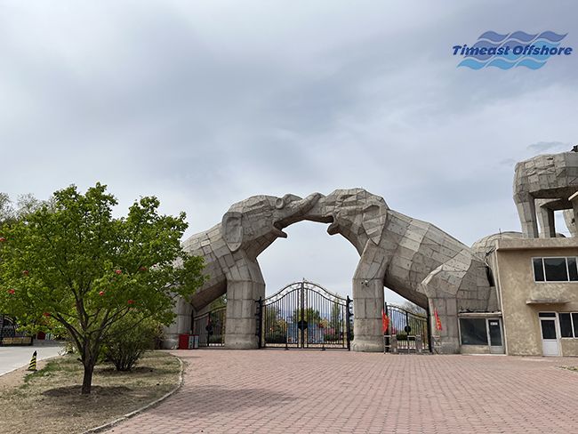 心之所向,行之所往——赴一场春天的约会 心之所向,行之所往——赴一场春天的约会