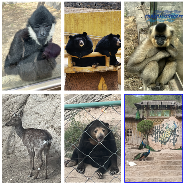 心之所向,行之所往——赴一场春天的约会 心之所向,行之所往——赴一场春天的约会