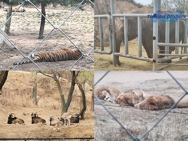 心之所向,行之所往——赴一场春天的约会 心之所向,行之所往——赴一场春天的约会