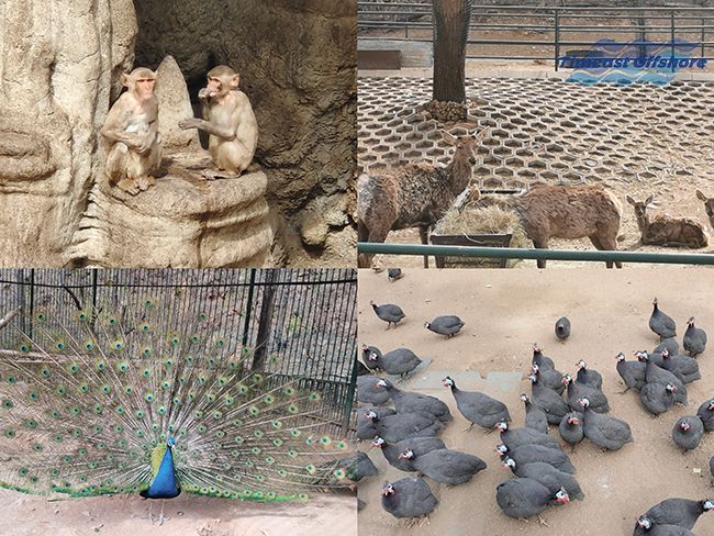 心之所向,行之所往——赴一场春天的约会 心之所向,行之所往——赴一场春天的约会